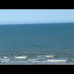 Meet your Posher, Deidre